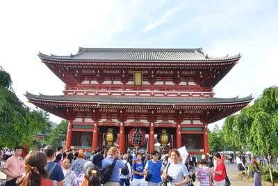 DSC_3462 (Large).JPG